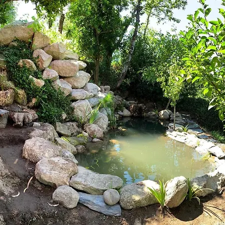 Welcome To Geres-green View Виейра-ду-Минью