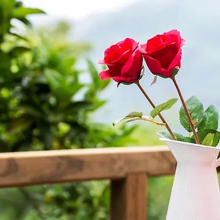 Welcome To Geres-green View 샬레