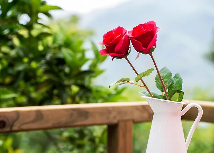 Welcome To Geres-green View Chalet